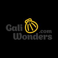 Organización galiwonders